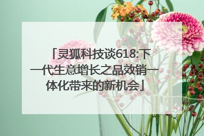 灵狐科技谈618:下一代生意增长之品效销一体化带来的新机会