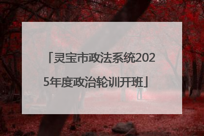 灵宝市政法系统2025年度政治轮训开班