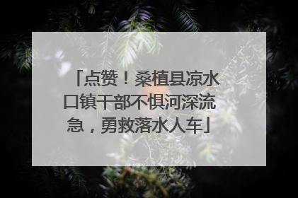 点赞！桑植县凉水口镇干部不惧河深流急，勇救落水人车