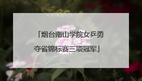 烟台南山学院女乒勇夺省锦标赛三项冠军