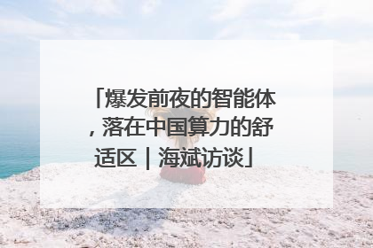 爆发前夜的智能体，落在中国算力的舒适区｜海斌访谈