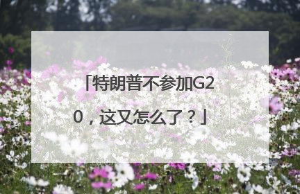 特朗普不参加G20，这又怎么了？