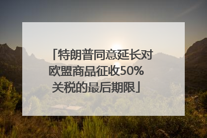 特朗普同意延长对欧盟商品征收50%关税的最后期限