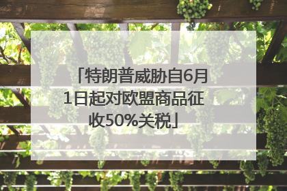 特朗普威胁自6月1日起对欧盟商品征收50%关税