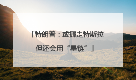特朗普：或挪走特斯拉 但还会用“星链”
