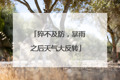 猝不及防，暴雨之后天气大反转