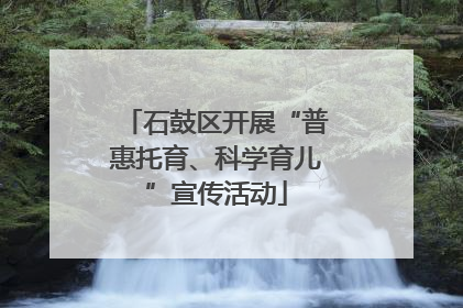 石鼓区开展“普惠托育、科学育儿”宣传活动