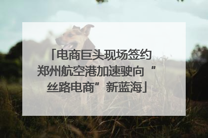 电商巨头现场签约 郑州航空港加速驶向“丝路电商”新蓝海