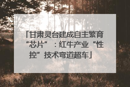 甘肃灵台建成自主繁育“芯片”：红牛产业“性控”技术弯道超车
