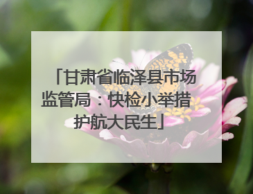 甘肃省临泽县市场监管局：快检小举措 护航大民生