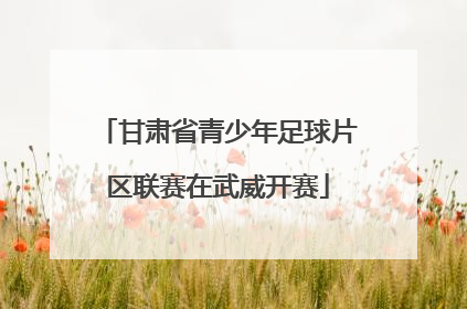 甘肃省青少年足球片区联赛在武威开赛
