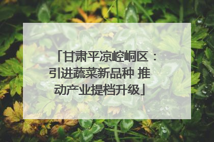 甘肃平凉崆峒区：引进蔬菜新品种 推动产业提档升级