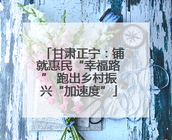 甘肃正宁：铺就惠民“幸福路” 跑出乡村振兴“加速度”
