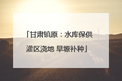 甘肃镇原：水库保供 灌区浇地 旱塬补种
