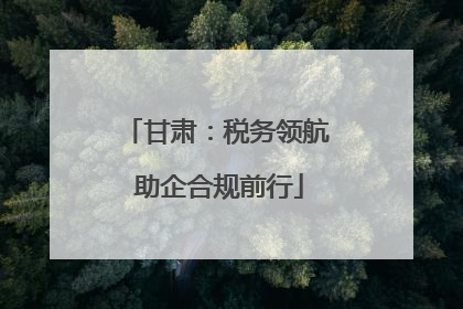 甘肃：税务领航 助企合规前行