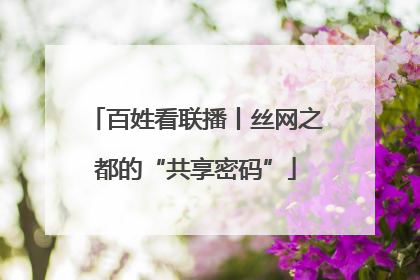 百姓看联播丨丝网之都的“共享密码”