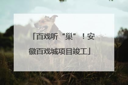 百戏听“巢”！安徽百戏城项目竣工