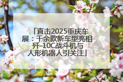 直击2025重庆车展：千余款新车型亮相 歼-10C战斗机与人形机器人引关注