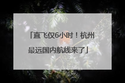 直飞仅6小时！杭州最远国内航线来了