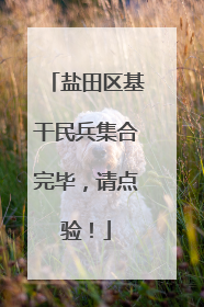 盐田区基干民兵集合完毕，请点验！