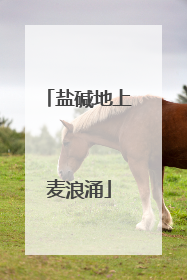 盐碱地上麦浪涌