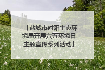 盐城市射阳生态环境局开展六五环境日主题宣传系列活动