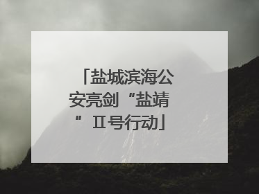盐城滨海公安亮剑“盐靖”Ⅱ号行动