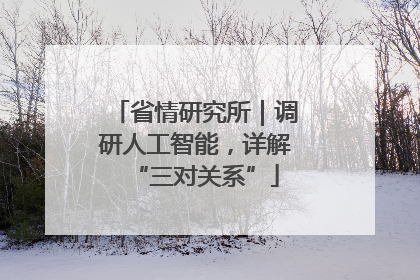 省情研究所｜调研人工智能，详解“三对关系”
