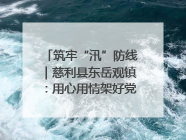 筑牢“汛”防线｜慈利县东岳观镇：用心用情架好党群温暖悠长的“连心桥”