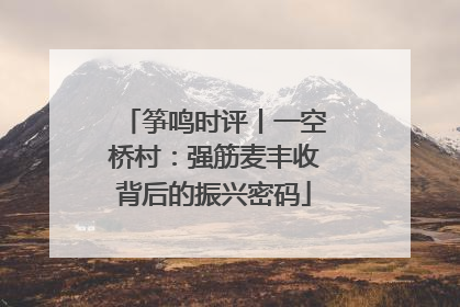筝鸣时评丨一空桥村：强筋麦丰收背后的振兴密码