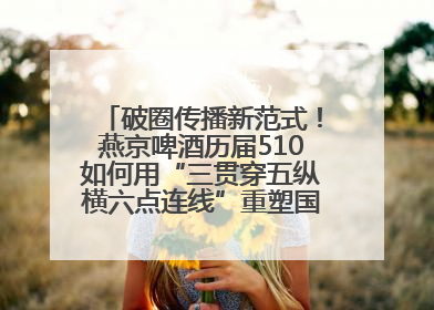 破圈传播新范式！燕京啤酒历届510如何用“三贯穿五纵横六点连线”重塑国民品牌声量