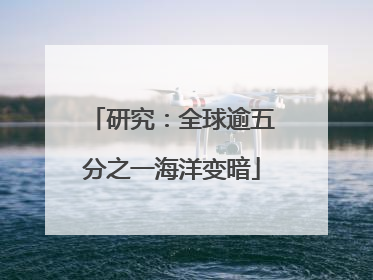 研究：全球逾五分之一海洋变暗