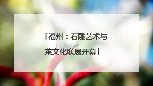 福州：石雕艺术与茶文化联展开幕