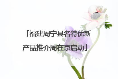 福建周宁县名特优新产品推介周在京启动
