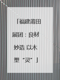 福建莆田展团：良材妙造 以木塑“灵”