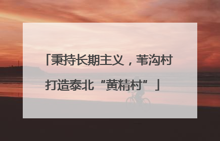 秉持长期主义，苇沟村打造泰北“黄精村”