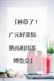 种草了！广元好茶惊艳亮相川茶博览会