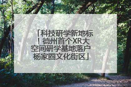 科技研学新地标！德州首个XR大空间研学基地落户杨家圈文化街区