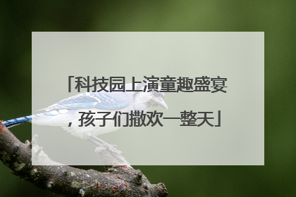 科技园上演童趣盛宴，孩子们撒欢一整天