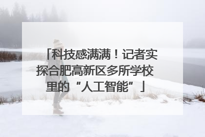 科技感满满！记者实探合肥高新区多所学校里的“人工智能”