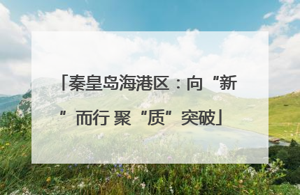 秦皇岛海港区：向“新”而行 聚“质”突破