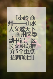 秦岭·商州——山水人文邀天下，商州区委副书记、区长支朝奇推介5个重点招商项目