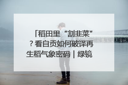稻田里“割韭菜”？看自贡如何破译再生稻气象密码｜绿镜头·发现中国