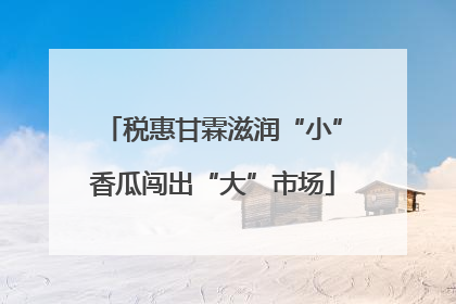 税惠甘霖滋润“小”香瓜闯出“大”市场