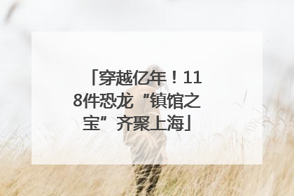 穿越亿年！118件恐龙“镇馆之宝”齐聚上海