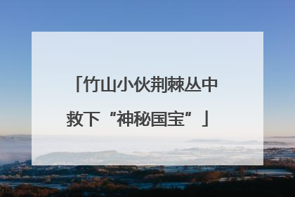 竹山小伙荆棘丛中救下“神秘国宝”