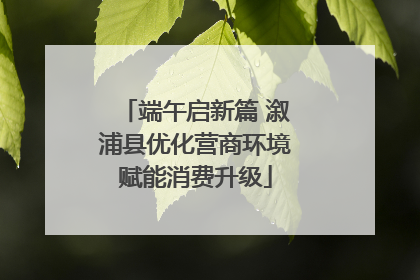 端午启新篇 溆浦县优化营商环境赋能消费升级