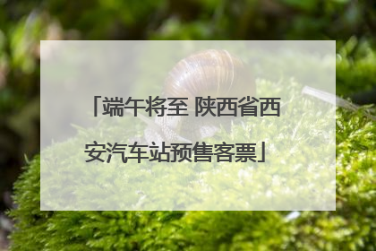 端午将至 陕西省西安汽车站预售客票