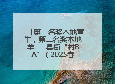 第一名奖本地黄牛，第二名奖本地羊……县街“村BA”（2025春季赛）圆满完赛