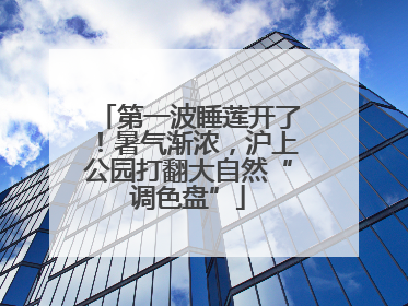 第一波睡莲开了！暑气渐浓，沪上公园打翻大自然“调色盘”